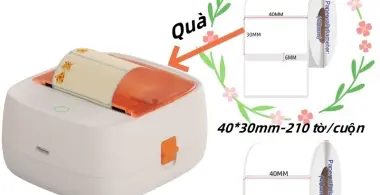 In nhãn, in ảnh, in tài liệu – Máy in Rhebar làm hết! Chỉ cần một nút bấm, mọi thứ trở nên chuyên nghiệp.