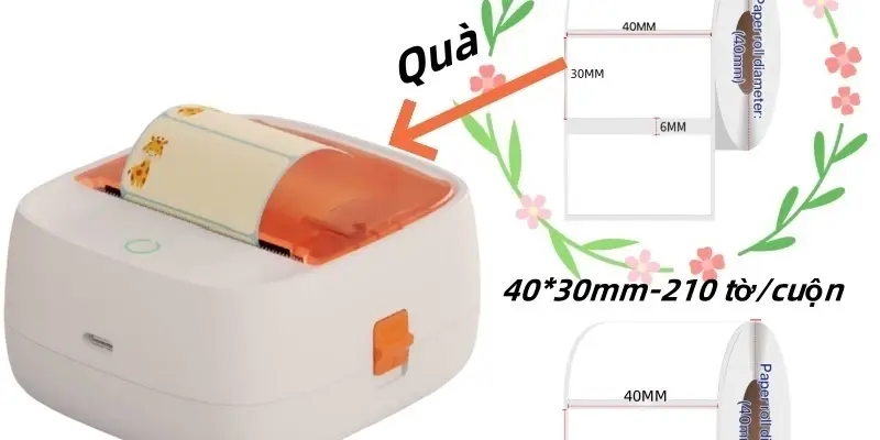 In nhãn, in ảnh, in tài liệu – Máy in Rhebar làm hết! Chỉ cần một nút bấm, mọi thứ trở nên chuyên nghiệp.